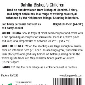 Dahlia ‘Bishops Children’ – HHP
