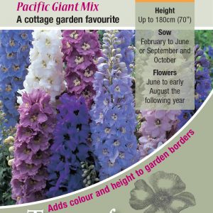 Delphinium ‘Pacific Giants Mixed’ – HP