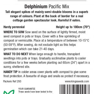 Delphinium ‘Pacific Giants Mixed’ – HP