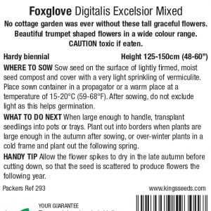 Foxglove – Digitalis ‘Excelsior Mixed’ – HB