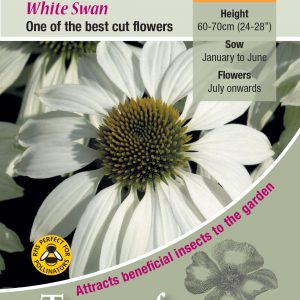 Echinacea ‘White Swan’ – HP