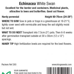 Echinacea ‘White Swan’ – HP
