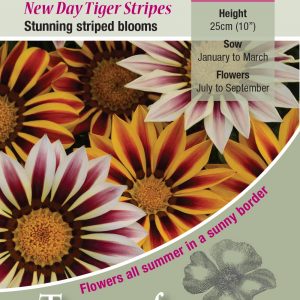 Gazania ‘New Day Tiger Stripes’ – HHA