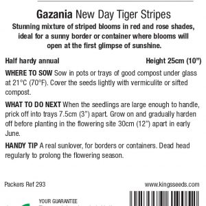 Gazania ‘New Day Tiger Stripes’ – HHA