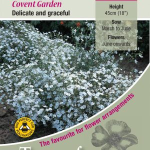 Gypsophilia ‘Covent Garden’ – HA
