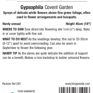 Gypsophilia ‘Covent Garden’ – HA