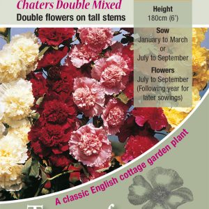 Hollyhock ‘Double Mixed’ – HP
