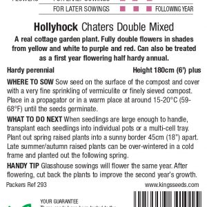 Hollyhock ‘Double Mixed’ – HP