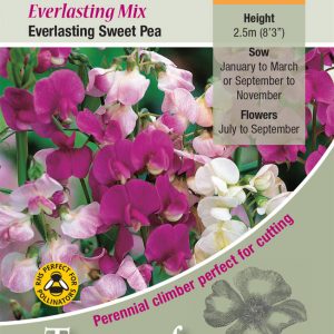 Lathyrus latifolius ‘Mixed’ – HP