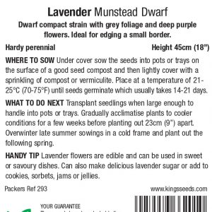 Lavender ‘Munstead’ (Dwarf) – HP
