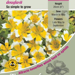 Limnanthes douglasii – HA