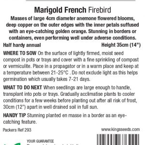French Marigold ‘Firebird’ – HHA