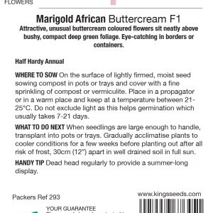 African Marigold ‘Buttercream F1’ – HHA