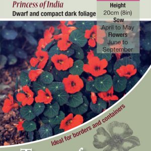 Nasturtium ‘Princess Of India’ – HA