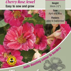 Nasturtium ‘Cherry Rose Jewel’ – HA