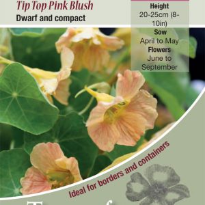Nasturtium Tip Top Pink Blush – HA