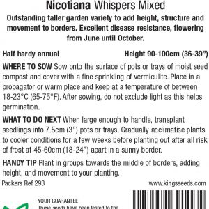 Nicotiana ‘Whispers Mixed’ – HHA