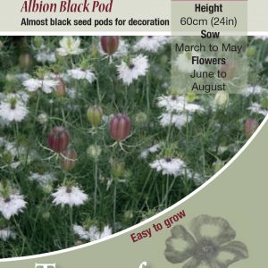 Nigella Albion Black Pod – HA