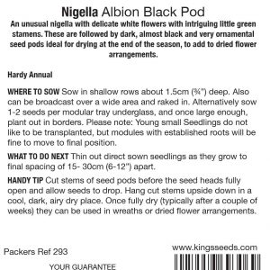 Nigella Albion Black Pod – HA