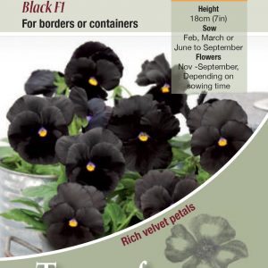 Pansy Atlas Black F1 – HP