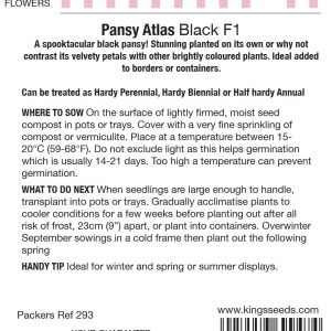 Pansy Atlas Black F1 – HP