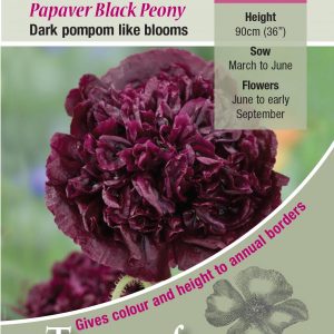 Poppy – Papaver paeoniflorum Black Peony – HA