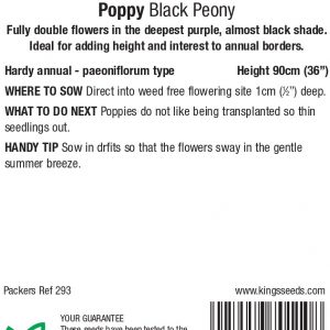 Poppy – Papaver paeoniflorum Black Peony – HA