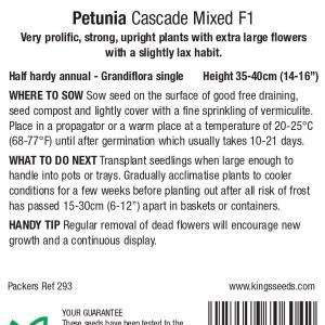 Petunia Cascade Mixed F1 – HHA