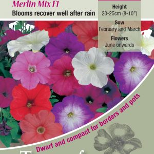 Petunia Merlin Mixed F1 – HHA