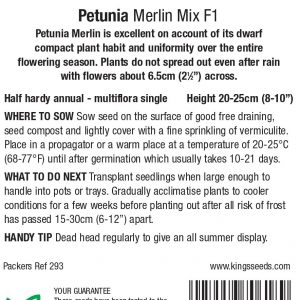 Petunia Merlin Mixed F1 – HHA