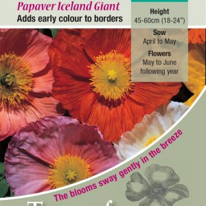 Poppy Iceland Giant – HB