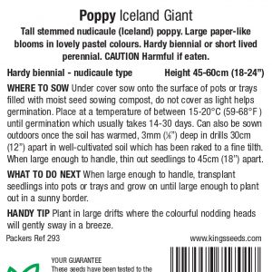Poppy Iceland Giant – HB