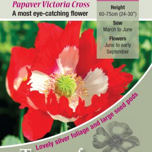 Poppy Victoria Cross – HA