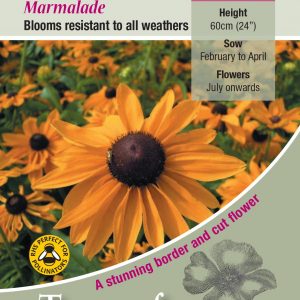 Rudbeckia Marmalade – HHA