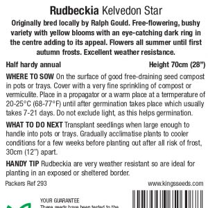 Rudbeckia Hirta Kelvedon Star – HHA