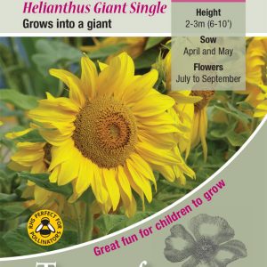 Sunflower Giant Single – HA