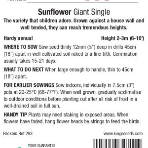 Sunflower Giant Single – HA