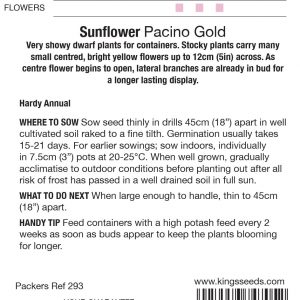 Sunflower Pacino Gold – HA