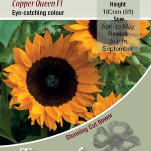 Sunflower Copper Queen F1 – HA