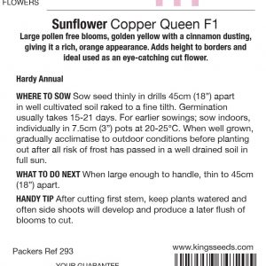 Sunflower Copper Queen F1 – HA