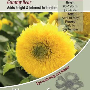 Sunflower Gummy Bear – HA
