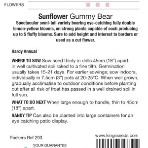 Sunflower Gummy Bear – HA