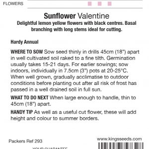 Sunflower Valentine