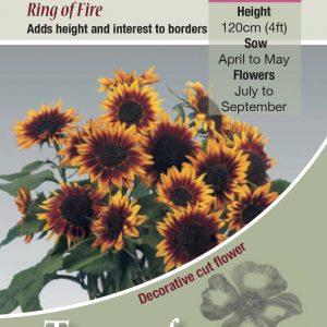 Sunflower Ring Of Fire – HA