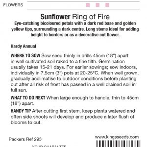 Sunflower Ring Of Fire – HA