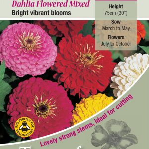 Zinnia Dahlia Flowered Mix – HHA