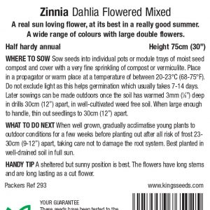 Zinnia Dahlia Flowered Mix – HHA