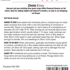 Zinnia Envy – HHA
