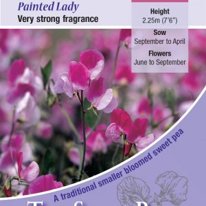 Sweet Pea ‘Painted Lady'(Lathyrus) HA – Highly Scented