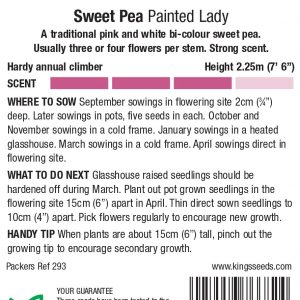 Sweet Pea ‘Painted Lady'(Lathyrus) HA – Highly Scented